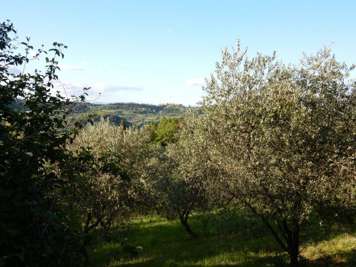 Agriturismo Anna-Rosa Legoli Eksteriør billede