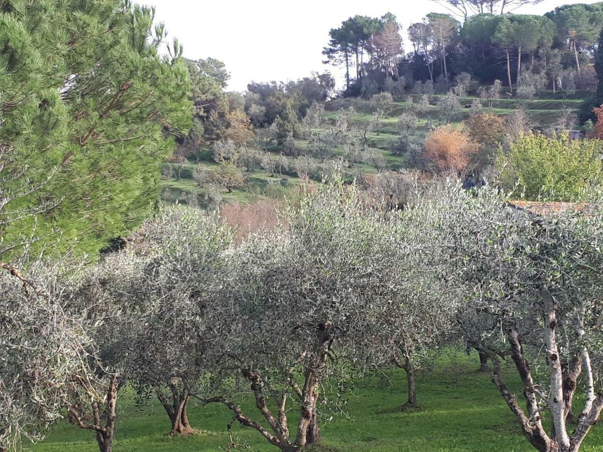 Agriturismo Anna-Rosa Legoli Eksteriør billede